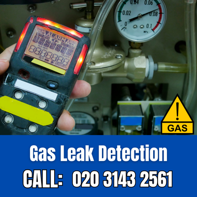 Expert Gas Leak Detection Services in Seven Kings | Seven Kings Leak Detection