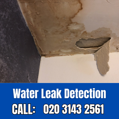 Expert Water Leak Detection Services in Seven Kings | Seven Kings Leak Detection